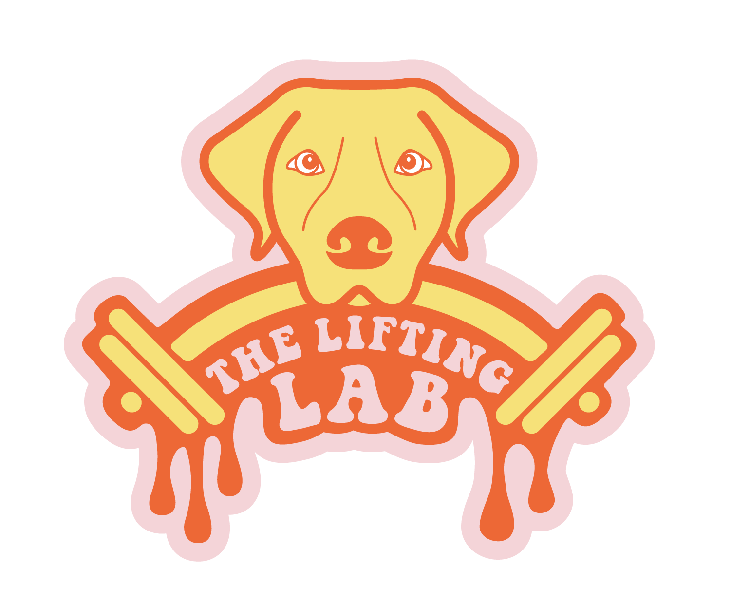 The Lifting Lab
